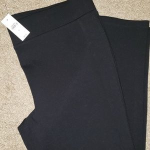 NWT LOFT Seamed Ponte Pant